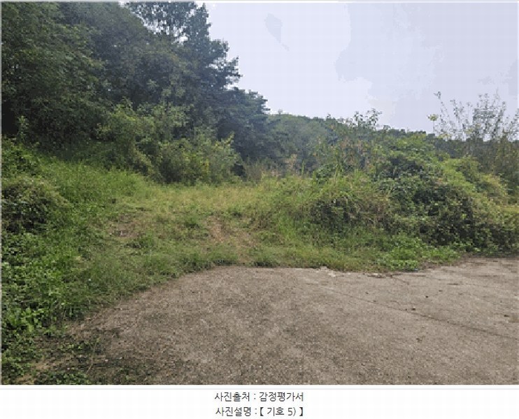 2025타경1938 경상북도 성주군 초전면 용성리 90 농지 경매 이미지