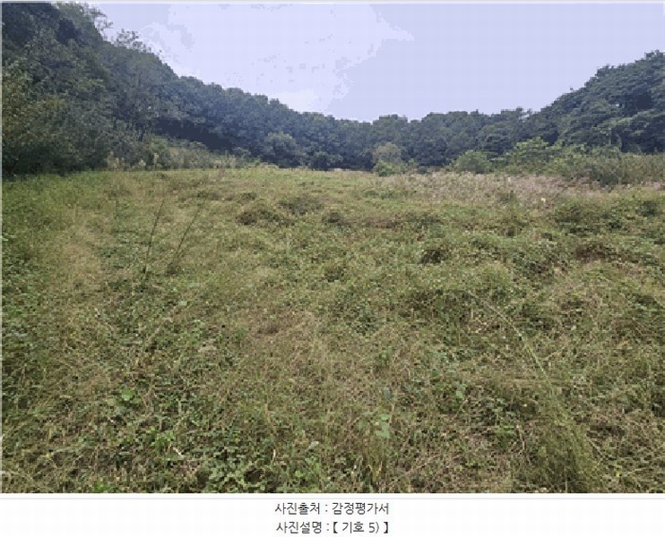 2025타경1938 경상북도 성주군 초전면 용성리 90 농지 경매 이미지