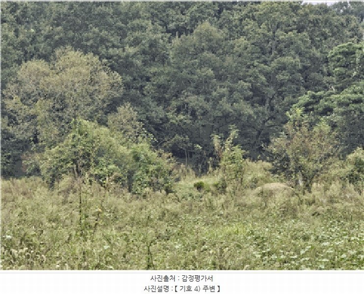 2025타경1938 경상북도 성주군 초전면 용성리 90 농지 경매 이미지