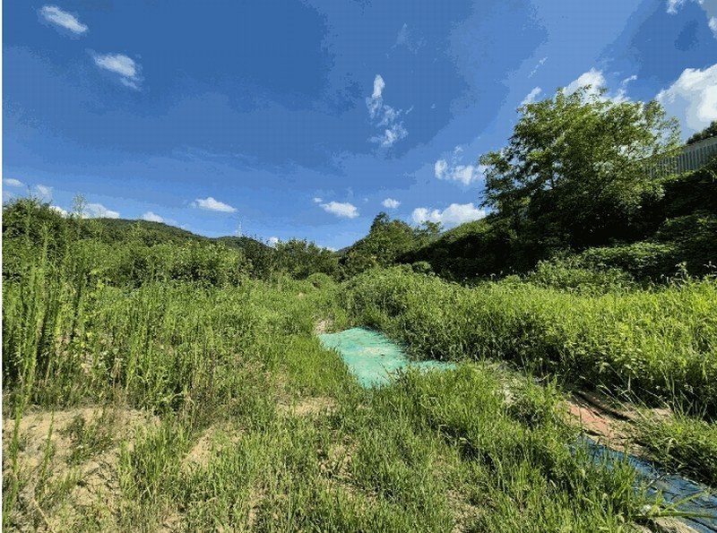 2025타경2290 대구광역시 달성군 논공읍 노이리 700 농지 경매 이미지