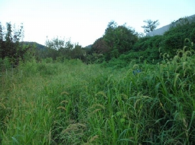 2025타경2290 대구광역시 달성군 논공읍 노이리 700 농지 경매 이미지