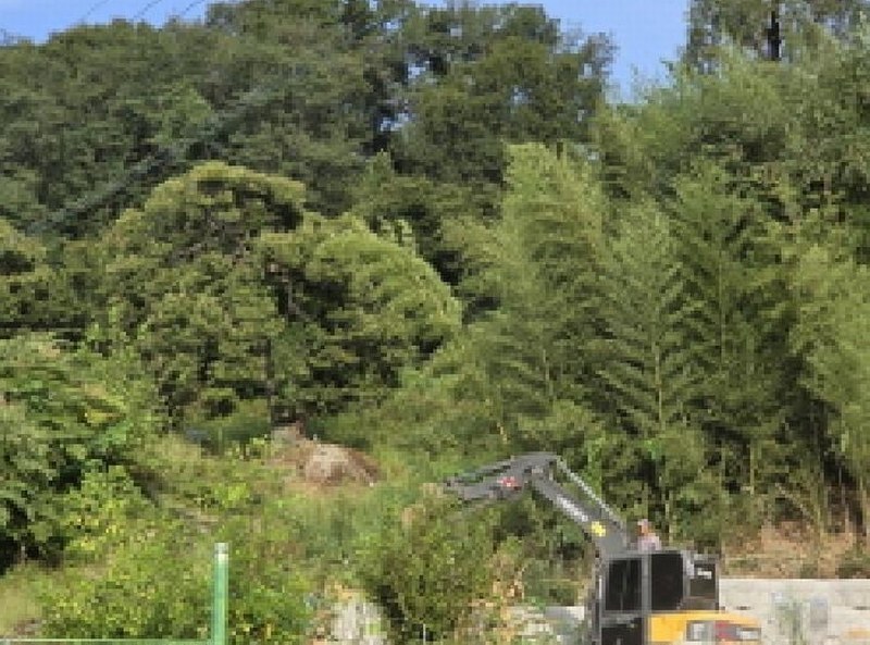 2025타경2535 경상북도 성주군 월항면 안포리 131-2 농지 경매 이미지