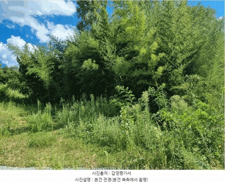 2025타경2535 경상북도 성주군 월항면 안포리 131-2 농지 경매 이미지