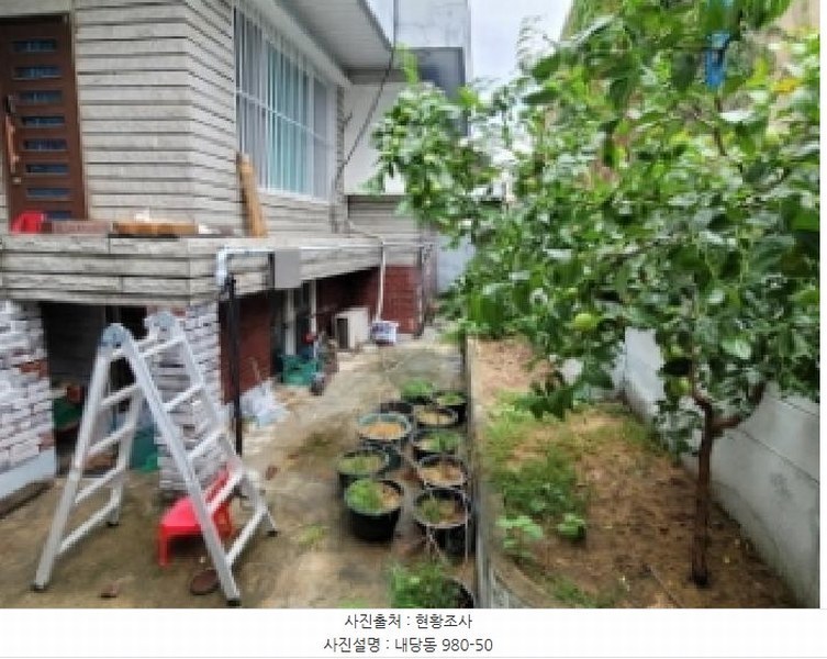 2025타경2719 대구광역시 서구 내당동 980-50 주택 경매 이미지