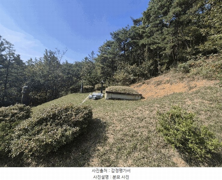2025타경3019 경상북도 성주군 선남면 관화리 산15 임야 경매 이미지