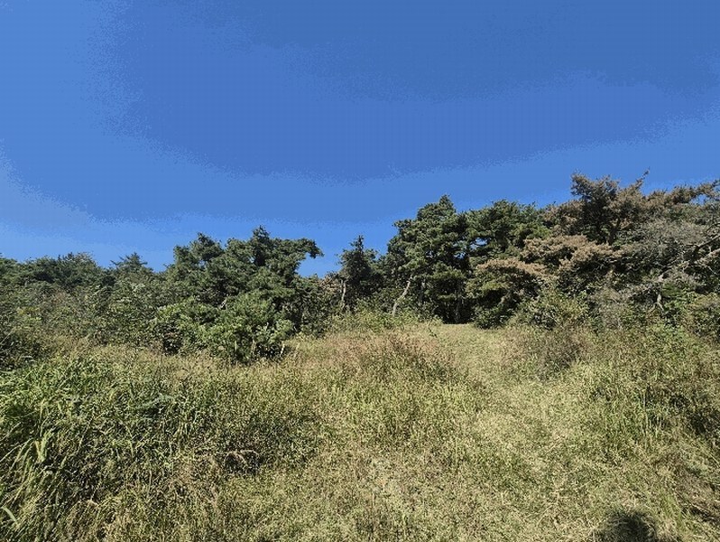 2025타경3019 경상북도 성주군 선남면 관화리 산15 임야 경매 이미지