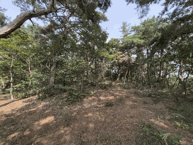 2025타경3019 경상북도 성주군 선남면 관화리 산15 임야 경매 이미지