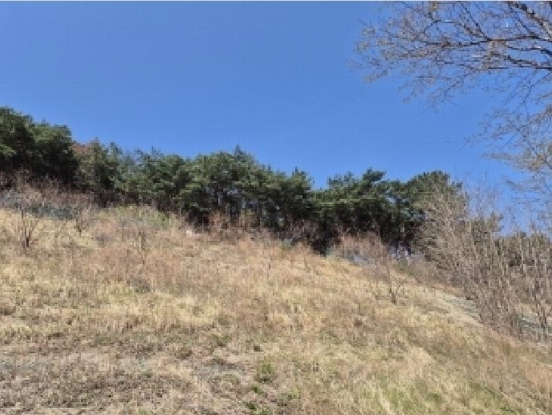 2025타경3637 경상북도 포항시 북구 창포동 산28 임야 경매 이미지