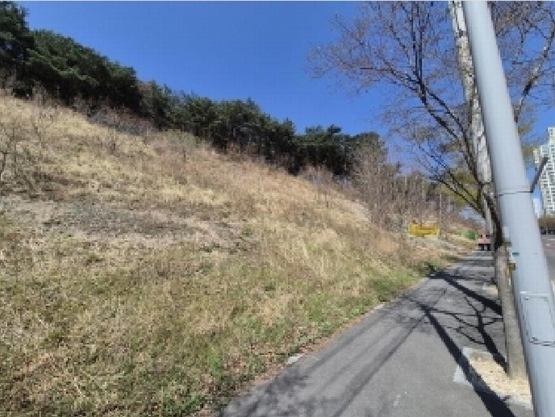 2025타경3637 경상북도 포항시 북구 창포동 산28 임야 경매 이미지
