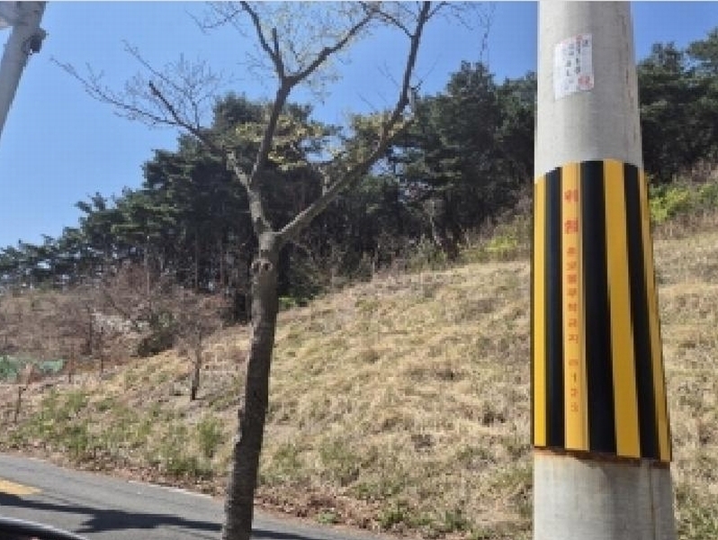 2025타경3637 경상북도 포항시 북구 창포동 산28 임야 경매 이미지