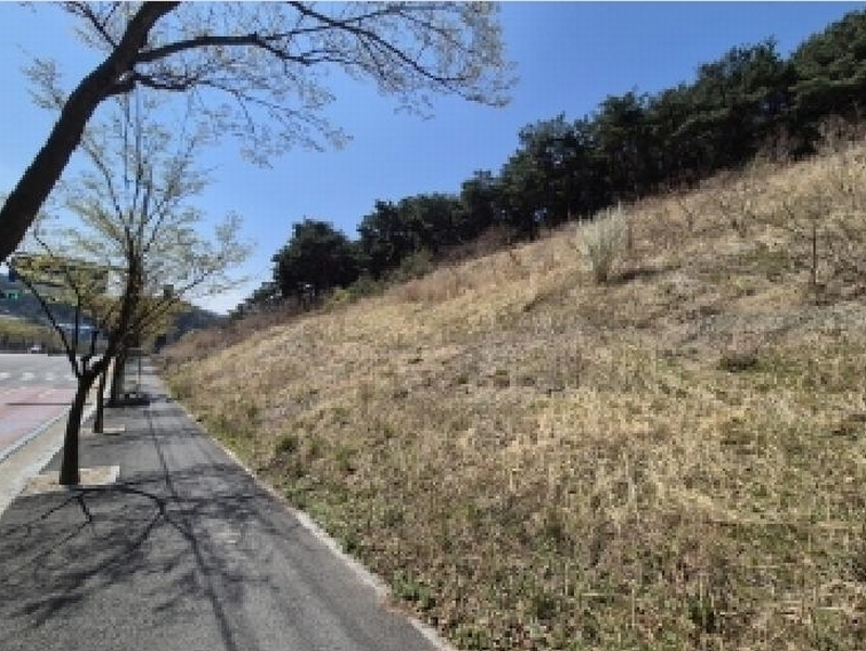 2025타경3637 경상북도 포항시 북구 창포동 산28 임야 경매 이미지