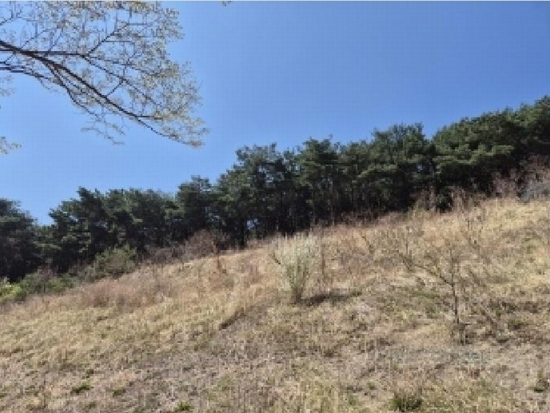 2025타경3637 경상북도 포항시 북구 창포동 산28 임야 경매 이미지