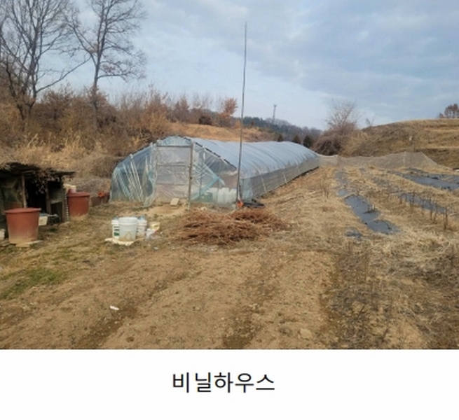 2025타경30424 경상북도 성주군 대가면 옥련리 273 농지 경매 이미지