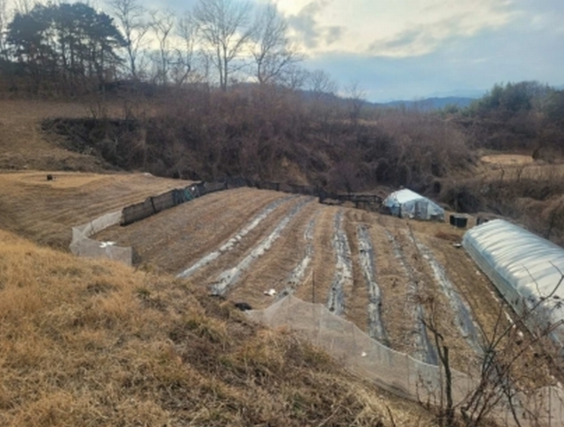 2025타경30424 경상북도 성주군 대가면 옥련리 273 농지 경매 이미지