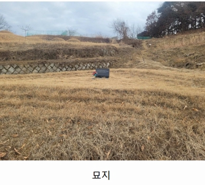 2025타경30424 경상북도 성주군 대가면 옥련리 273 농지 경매 이미지