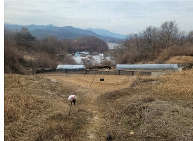 2025타경30424 경상북도 성주군 대가면 옥련리 273 농지 경매 이미지