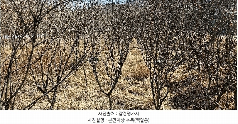 2025타경30904 경상북도 성주군 대가면 칠봉리 1052 농지 경매 이미지
