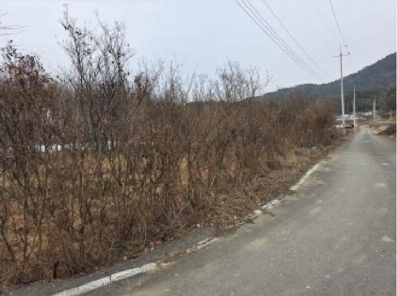 2025타경30904 경상북도 성주군 대가면 칠봉리 1052 농지 경매 이미지