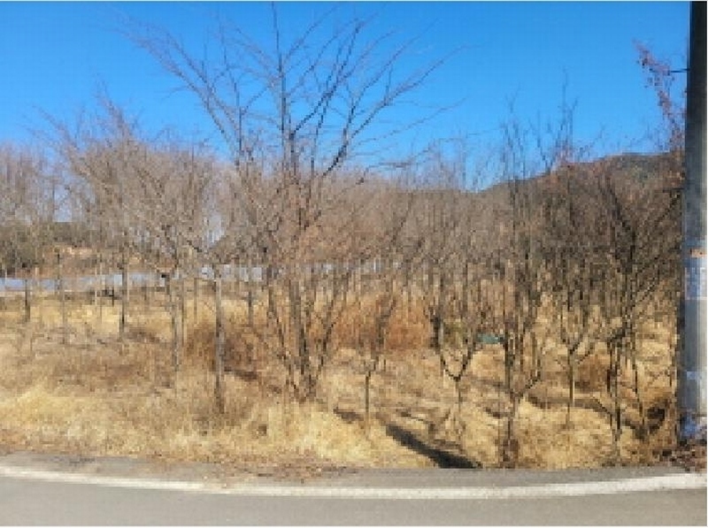2025타경30904 경상북도 성주군 대가면 칠봉리 1052 농지 경매 이미지