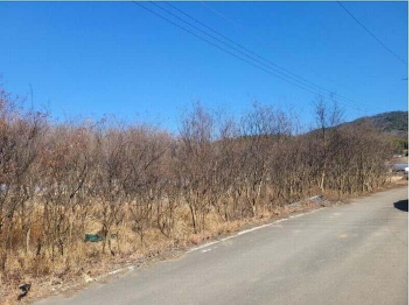 2025타경30904 경상북도 성주군 대가면 칠봉리 1052 농지 경매 이미지