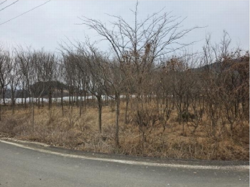 2025타경30904 경상북도 성주군 대가면 칠봉리 1052 농지 경매 이미지