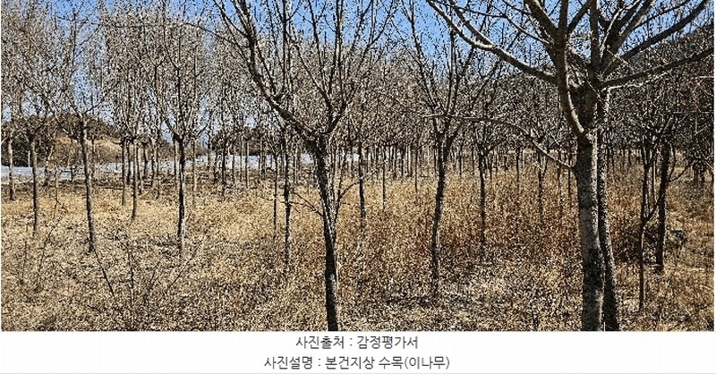 2025타경30904 경상북도 성주군 대가면 칠봉리 1052 농지 경매 이미지