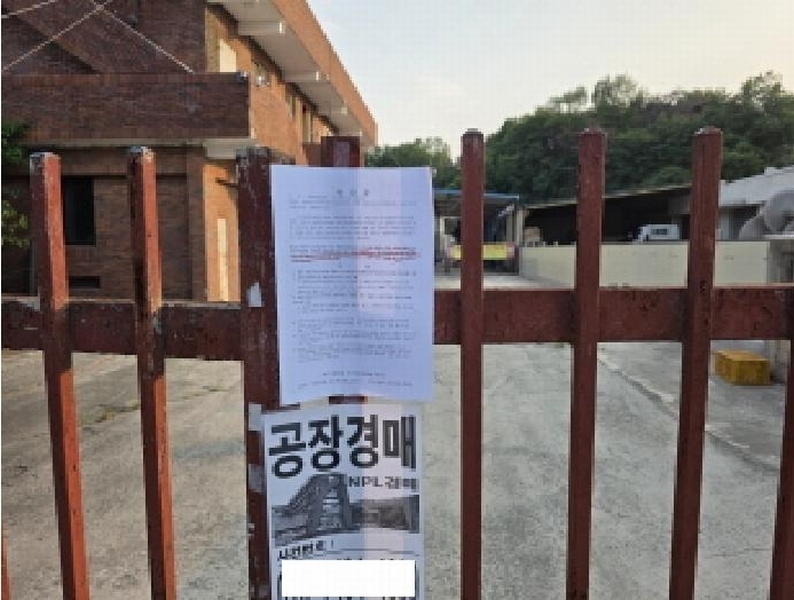 2025타경31095 경상북도 성주군 선남면 용신리 806-10 공장 경매 이미지