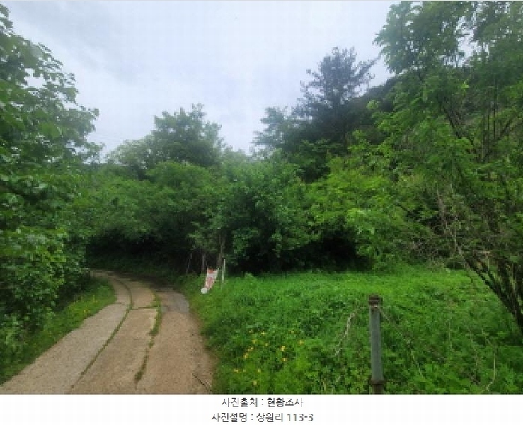 2025타경31300 대구광역시 달성군 가창면 상원리 113-3 농지 경매 이미지