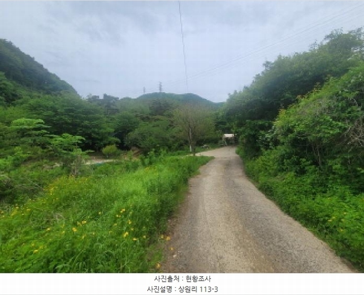 2025타경31300 대구광역시 달성군 가창면 상원리 113-3 농지 경매 이미지