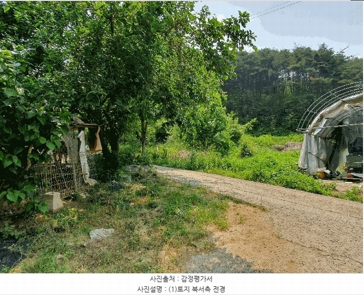 2025타경31300 대구광역시 달성군 가창면 상원리 113-3 농지 경매 이미지