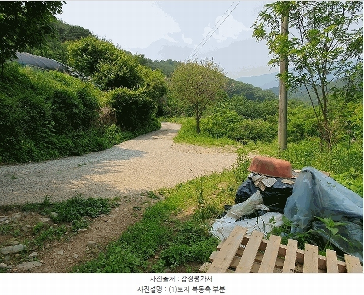 2025타경31300 대구광역시 달성군 가창면 상원리 113-3 농지 경매 이미지