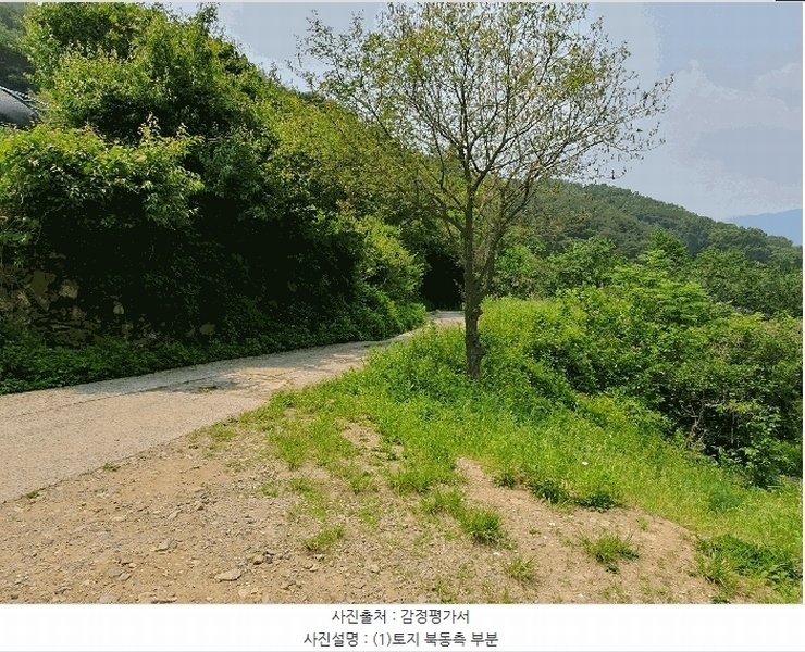 2025타경31300 대구광역시 달성군 가창면 상원리 113-3 농지 경매 이미지