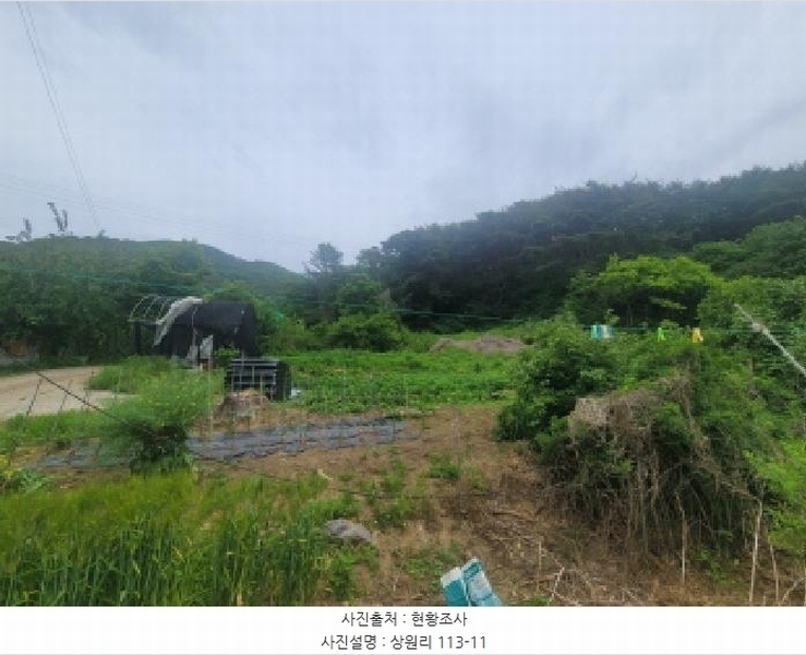 2025타경31300 대구광역시 달성군 가창면 상원리 113-3 농지 경매 이미지