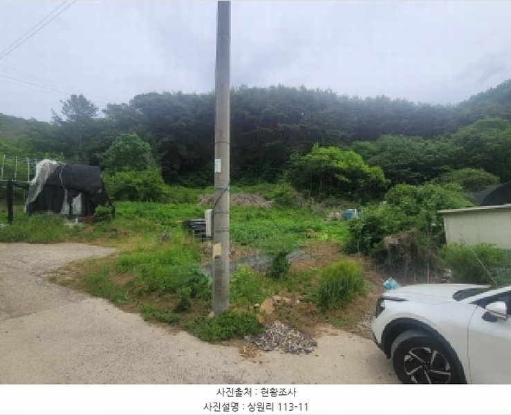 2025타경31300 대구광역시 달성군 가창면 상원리 113-3 농지 경매 이미지