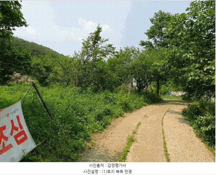 2025타경31300 대구광역시 달성군 가창면 상원리 113-3 농지 경매 이미지