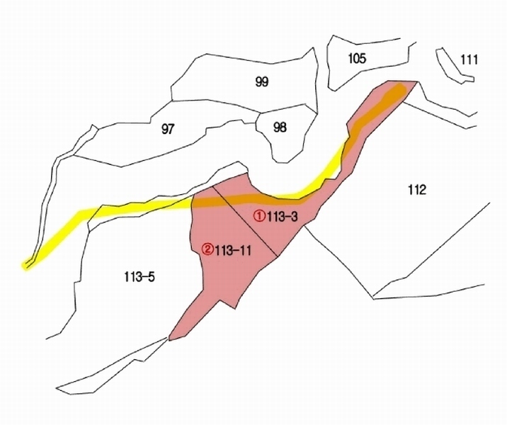 2025타경31300 대구광역시 달성군 가창면 상원리 113-3 농지 경매 이미지