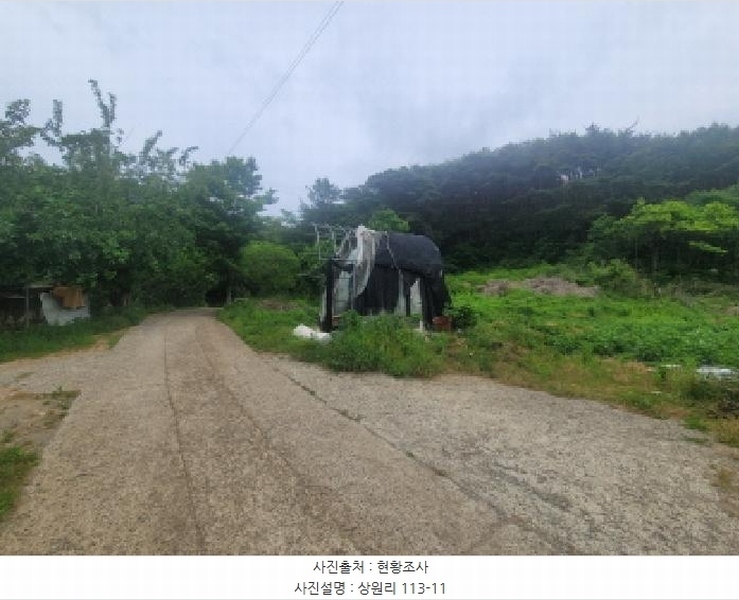 2025타경31300 대구광역시 달성군 가창면 상원리 113-3 농지 경매 이미지