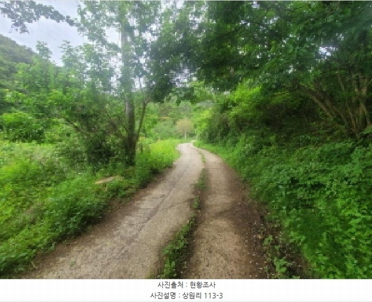 2025타경31300 대구광역시 달성군 가창면 상원리 113-3 농지 경매 이미지