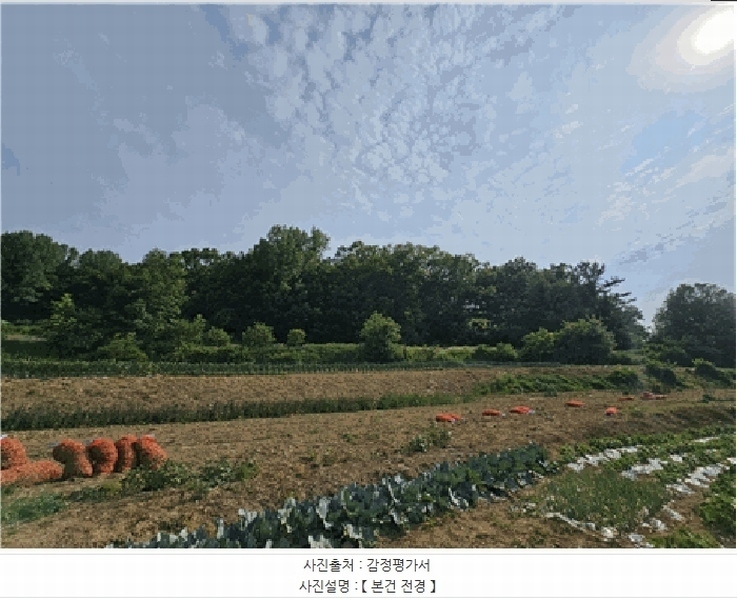 2025타경31312 대구광역시 달성군 현풍읍 신기리 328 임야 경매 이미지