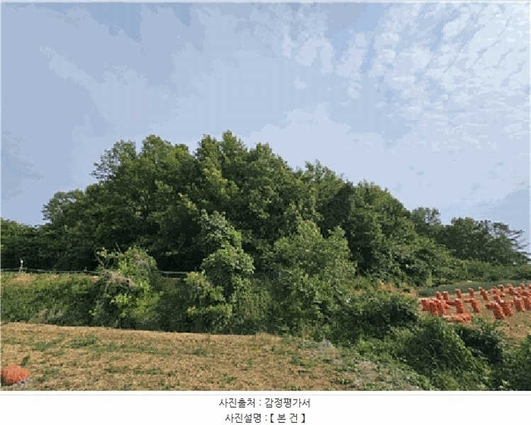 2025타경31312 대구광역시 달성군 현풍읍 신기리 328 임야 경매 이미지