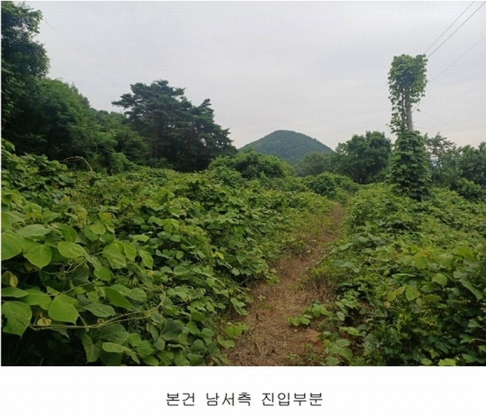 2025타경31432 경상북도 고령군 쌍림면 용리 671 농지 경매 이미지