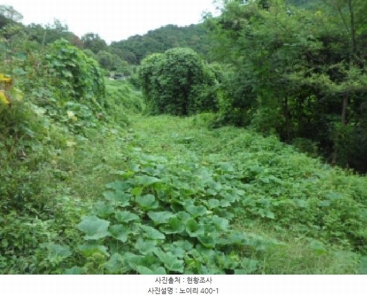 2025타경31714 대구광역시 달성군 논공읍 노이리 400-1 농지 경매 이미지