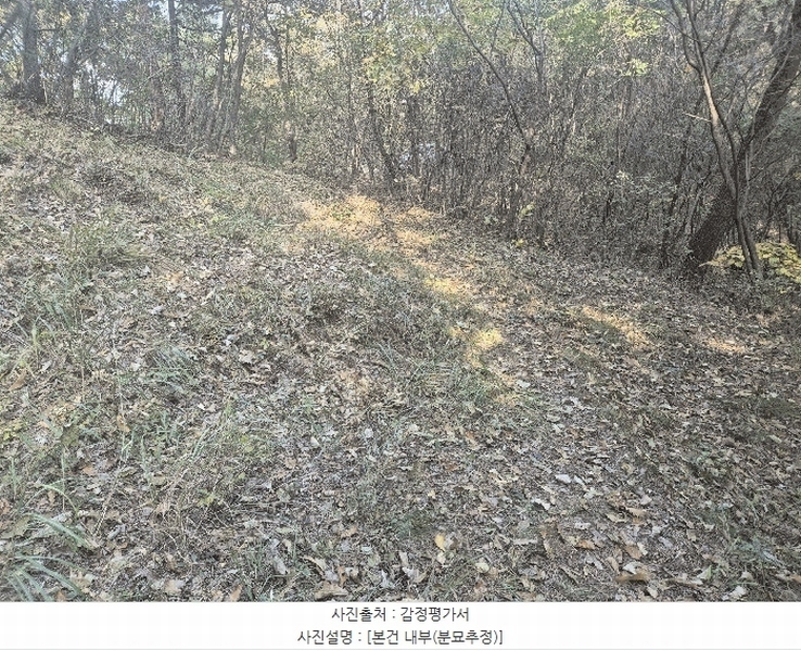 2025타경31961 경상북도 고령군 덕곡면 옥계리 산3 임야 경매 이미지