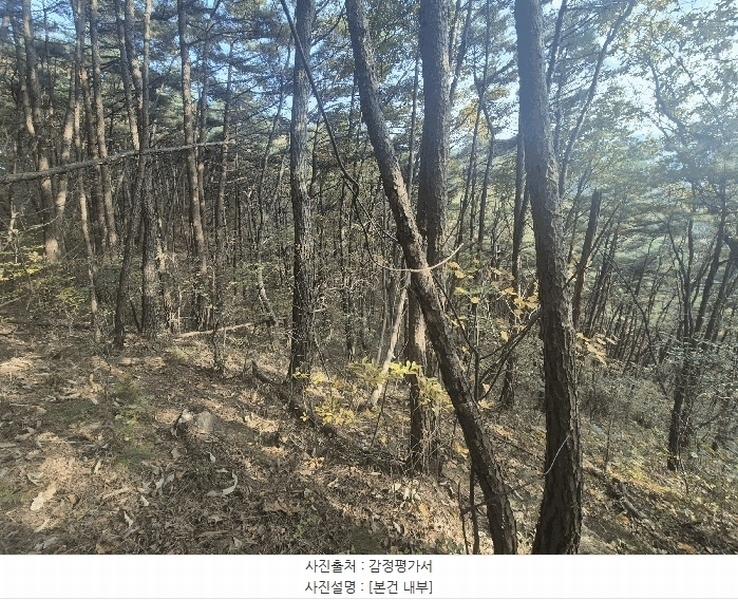 2025타경31961 경상북도 고령군 덕곡면 옥계리 산3 임야 경매 이미지