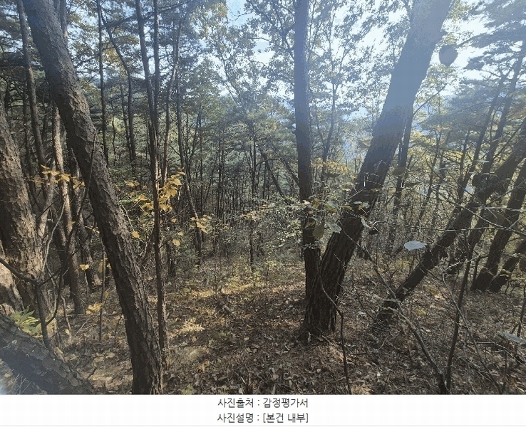 2025타경31961 경상북도 고령군 덕곡면 옥계리 산3 임야 경매 이미지
