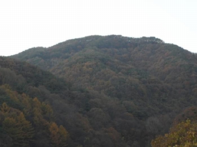 2025타경31961 경상북도 고령군 덕곡면 옥계리 산3 임야 경매 이미지