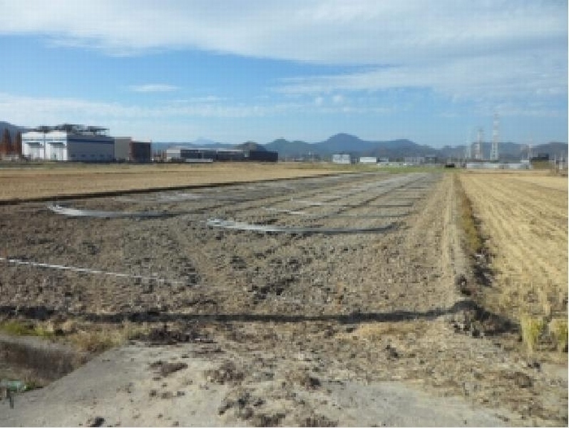 2025타경32001 대구광역시 달성군 논공읍 상리 1401 농지 경매 이미지