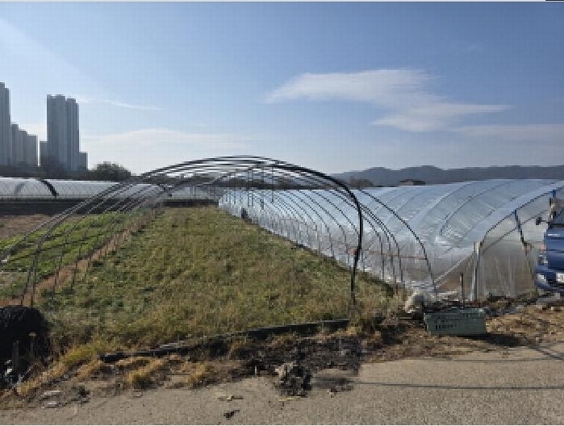 2025타경32021 대구광역시 달성군 다사읍 박곡리 360 농지 경매 이미지
