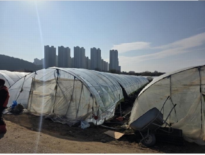 2025타경32021 대구광역시 달성군 다사읍 박곡리 360 농지 경매 이미지