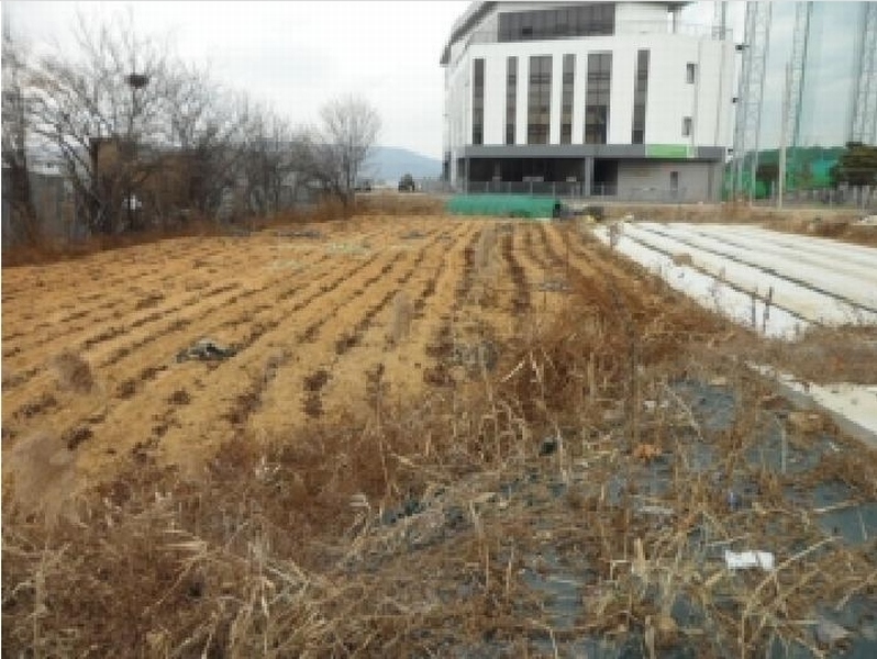 2025타경32036 대구광역시 달성군 논공읍 금포리 993 농지 경매 이미지